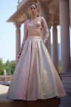 Shop_Vvani by Vani Vats_Blush Georgette Gota Patti V-neck Multicolor Embroidered Lehenga Set _Online_at_Aza_Fashions