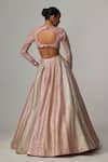 Shop_Vvani by Vani Vats_Blush Georgette Gota Patti V-neck Multicolor Embroidered Lehenga Set _at_Aza_Fashions