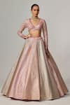 Buy_Vvani by Vani Vats_Blush Georgette Gota Patti V-neck Multicolor Embroidered Lehenga Set 