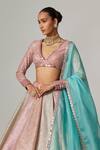 Vvani by Vani Vats_Multi Color Georgette, Organza Gota Multicolor Lehenga Set With Aqua Dupatta _Online_at_Aza_Fashions
