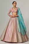 Shop_Vvani by Vani Vats_Multi Color Georgette, Organza Gota Multicolor Lehenga Set With Aqua Dupatta _Online_at_Aza_Fashions
