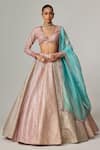 Buy_Vvani by Vani Vats_Multi Color Georgette, Organza Gota Multicolor Lehenga Set With Aqua Dupatta _at_Aza_Fashions