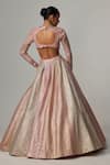 Shop_Vvani by Vani Vats_Multi Color Georgette, Organza Gota Multicolor Lehenga Set With Aqua Dupatta _at_Aza_Fashions
