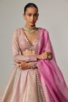 Vvani by Vani Vats_Multi Color Georgette, Organza Gota Patti, Dark Blush Multicolor Lehenga Set _Online_at_Aza_Fashions
