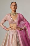 Shop_Vvani by Vani Vats_Multi Color Georgette, Organza Gota Patti, Dark Blush Multicolor Lehenga Set _Online_at_Aza_Fashions