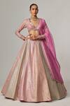 Buy_Vvani by Vani Vats_Multi Color Georgette, Organza Gota Patti, Dark Blush Multicolor Lehenga Set _at_Aza_Fashions