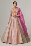 Shop_Vvani by Vani Vats_Multi Color Georgette, Organza Gota Patti, Dark Blush Multicolor Lehenga Set _at_Aza_Fashions