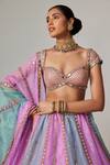 Buy_Vvani by Vani Vats_Multi Color Organza, Georgette Sequins, Gota Multicolor Embroidered Lehenga Set 