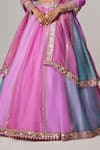 Vvani by Vani Vats_Multi Color Organza, Georgette Gota Patti, Mauve Multicolor Linear Lehenga Set _Online_at_Aza_Fashions