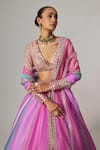 Shop_Vvani by Vani Vats_Multi Color Organza, Georgette Gota Patti, Mauve Multicolor Linear Lehenga Set _Online_at_Aza_Fashions