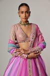 Vvani by Vani Vats_Multi Color Organza, Georgette Gota Patti, Mauve Multicolor Linear Lehenga Set _at_Aza_Fashions