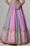 Buy_Vvani by Vani Vats_Multi Color Organza, Georgette Gota Patti, Multicolor Embroidered Lehenga Set 
