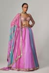 Vvani by Vani Vats_Multi Color Organza, Georgette Gota Patti Mauve Multicolor Linear Lehenga Set _Online_at_Aza_Fashions