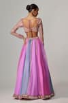 Shop_Vvani by Vani Vats_Multi Color Organza, Georgette Gota Patti Mauve Multicolor Linear Lehenga Set _at_Aza_Fashions
