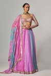 Shop_Vvani by Vani Vats_Multi Color Organza, Georgette Gota Patti Mauve Multicolor Linear Lehenga Set _Online_at_Aza_Fashions