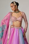 Vvani by Vani Vats_Multi Color Organza, Georgette Gota Patti Mauve Multicolor Linear Lehenga Set _at_Aza_Fashions