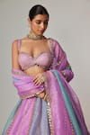Vvani by Vani Vats_Multi Color Organza, Georgette Sequins, Gota Patti Multicolor Lehenga Set _at_Aza_Fashions