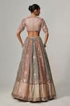 Shop_Vvani by Vani Vats_Multi Color Georgette, Organza Cranberry Multicolor Linear Flower Lehenga Set _at_Aza_Fashions
