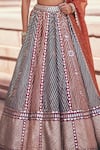 Shop_Vvani by Vani Vats_Multi Color Georgette, Organza Cranberry Multicolor Linear Flower Lehenga Set 