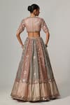 Shop_Vvani by Vani Vats_Multi Color Georgette, Organza Cranberry Multicolor Linear Flower Lehenga Set _at_Aza_Fashions