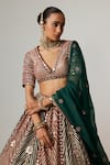 Vvani by Vani Vats_Multi Color Georgette, Organza Cranberry Multicolor Linear Flower Lehenga Set _Online_at_Aza_Fashions