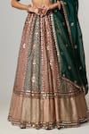 Buy_Vvani by Vani Vats_Multi Color Georgette, Organza Cranberry Multicolor Linear Flower Lehenga Set _Online_at_Aza_Fashions