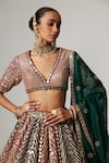 Shop_Vvani by Vani Vats_Multi Color Georgette, Organza Cranberry Multicolor Linear Flower Lehenga Set _Online_at_Aza_Fashions