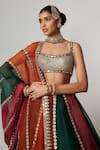 Vvani by Vani Vats_Multi Color Organza, Georgette Gota Patti, Cranberry Multicolor Lehenga Set _at_Aza_Fashions