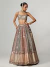 Vvani by Vani Vats_Multi Color Georgette, Organza Cranberry Multicolor Linear Flower Lehenga Set _Online_at_Aza_Fashions