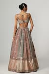 Shop_Vvani by Vani Vats_Multi Color Georgette, Organza Cranberry Multicolor Linear Flower Lehenga Set _at_Aza_Fashions