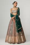 Buy_Vvani by Vani Vats_Multi Color Georgette, Organza Cranberry Multicolor Linear Flower Lehenga Set _Online_at_Aza_Fashions