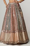 Vvani by Vani Vats_Multi Color Georgette, Organza Cranberry Multicolor Linear Flower Lehenga Set _at_Aza_Fashions