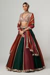 Shop_Vvani by Vani Vats_Multi Color Organza, Georgette Gota Cranberry Multicolor Linear Lehenga Set _Online_at_Aza_Fashions