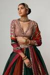 Vvani by Vani Vats_Multi Color Organza, Georgette Gota Cranberry Multicolor Linear Lehenga Set _at_Aza_Fashions