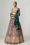 Vvani by Vani Vats_Multi Color Georgette, Organza Gota Patti, Cranberry Flower Linear Lehenga Set _Online_at_Aza_Fashions