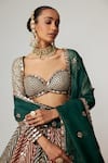 Shop_Vvani by Vani Vats_Multi Color Georgette, Organza Gota Patti, Cranberry Flower Linear Lehenga Set _Online_at_Aza_Fashions