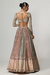 Shop_Vvani by Vani Vats_Multi Color Georgette, Organza Gota Patti, Cranberry Flower Linear Lehenga Set _at_Aza_Fashions