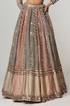 Buy_Vvani by Vani Vats_Multi Color Georgette, Organza Gota Patti, Cranberry Flower Linear Lehenga Set 