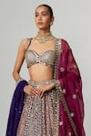 Vvani by Vani Vats_Multi Color Georgette, Organza Gota Patti Teal Wine Multicolor Lehenga Set _Online_at_Aza_Fashions