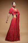 NIRRAAMYAA_Red Net, Crepe Rhinestones Round Neck Embroidered Lehenga Set _Online_at_Aza_Fashions