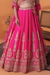 Shop_RAJ ARORA_Pink Crepe, Net Sequins, Pearls, Crystals V-neck Hot Zari And Embellished Set 