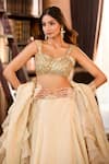 Buy_Aariyana Couture_Gold Tissue Embroidery, Ruffles Sweetheart Neck Hand Lehenga Set 