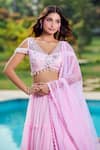 Aariyana Couture_Pink Tulle, Net Beads, Sequins, Embroidery V-neck Baby Hand Lehenga Set _at_Aza_Fashions