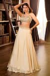 Shop_Aariyana Couture_Gold Tissue Embroidery, Ruffles Sweetheart Neck Hand Lehenga Set 