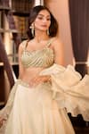 Aariyana Couture_Gold Tissue Embroidery, Ruffles Sweetheart Neck Hand Lehenga Set 