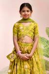 YUVRAANI JAIPUR_Yellow Muslin, Cotton, Net Tassels Green Designer Lehenga Set _Online_at_Aza_Fashions