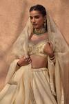 Shop_Kritika Dawar_Ivory , Organza Embroidery, Pearls V-neck Lehenga Set 