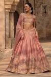 Buy_Kritika Dawar_Blush , Organza Pearls, Zari, Embroidery V-neck Lehenga Set 