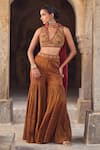 Buy_Kritika Dawar_Brown Tissue, Chanderi Embroidery, Zari V-neck Gharara Set _at_Aza_Fashions