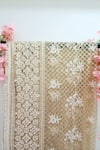 MONK & MEI BY SONIA ANAND_Gold Net Embroidery Zari Jaal Dupatta _Online_at_Aza_Fashions
